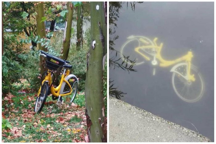 Ilustračný obrázok k článku FOTO: Kam zmizli žlté bicykle Slovnaft BAjk? Niektoré parkujú v lese, iné sa kúpu