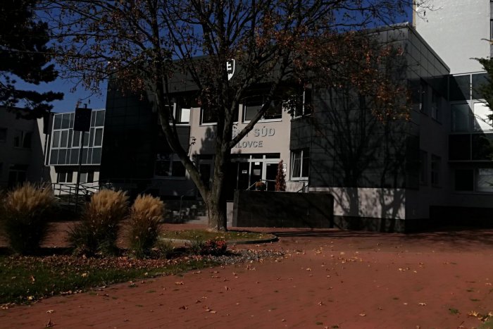 Ilustračný obrázok k článku Michalovce si pripomenú veľké výročie: Aha, čo sa bude sadiť pred známou budovou!