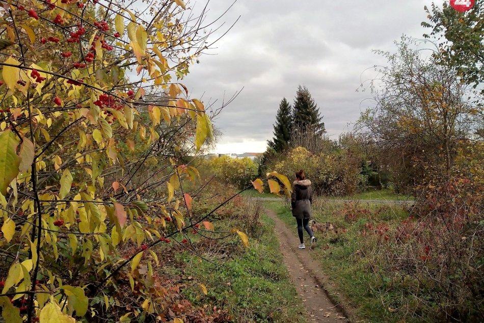 Ilustračný obrázok k článku Spravte si pekný jesenný týždeň: TIPY, kam v Žiari a okolí
