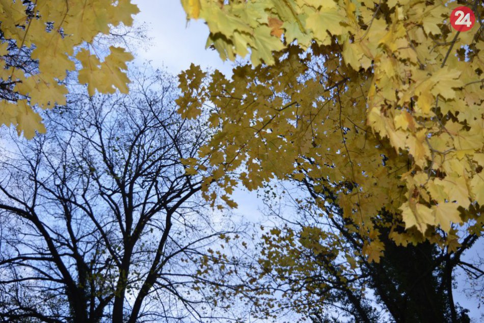 Ilustračný obrázok k článku Prechádzka v Budatínskom parku za každého počasia: Pokochajte sa krásou jesene, FOTO