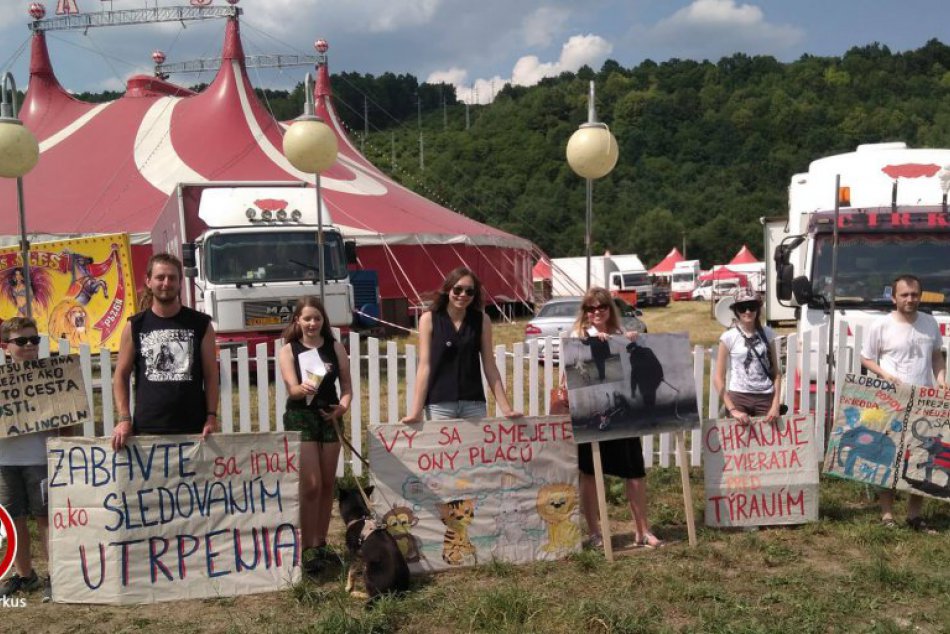 Ilustračný obrázok k článku V Bratislave sa bude opäť protestovať za cirkusy bez zvierat