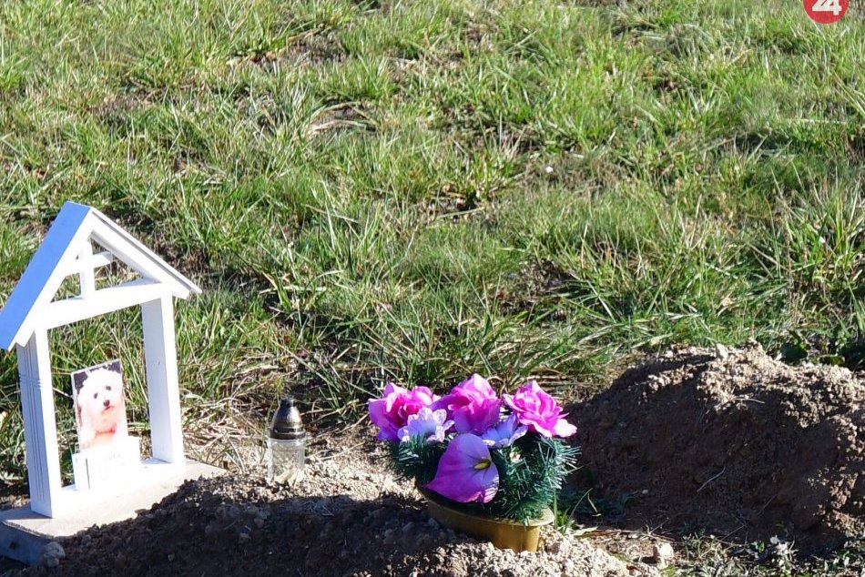 Ilustračný obrázok k článku Mestu chýba cintorín pre zvieratá: Čierne cintoríny sú na tajných miestach