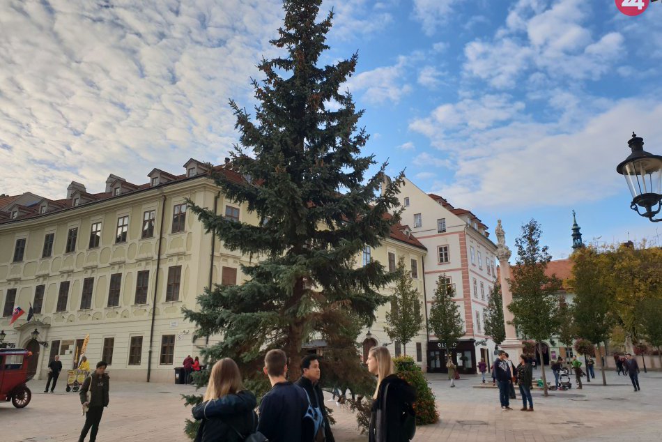 Ilustračný obrázok k článku Na Hlavnom námestí už vyrástol vianočný stromček. Rozsvietený bude 23. novembra