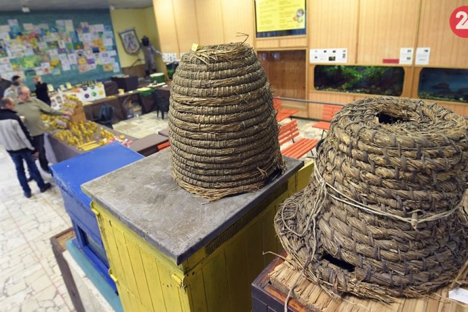 Ilustračný obrázok k článku Do Bystrice mieria včelári z celého Slovenska. Na návštevníkov čaká pestrý program aj darček