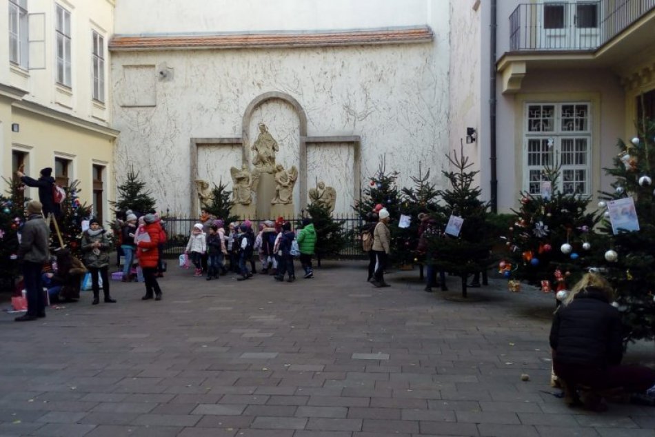 Ilustračný obrázok k článku FOTO: V centre Bratislavy vyrástol Vianočný les plný voňavých stromčekov