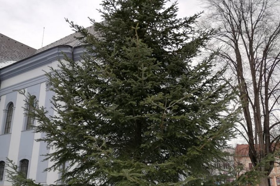 Ilustračný obrázok k článku Ďalší znak, že Vianoce sa blížia: Na spišskonovoveskom námestí už stojí vianočný stromček