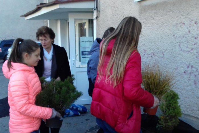 Ilustračný obrázok k článku Školáci uspeli so šikovným projektom:  Areál ZŠ Ľ. Štúra žiari zeleňou, FOTO