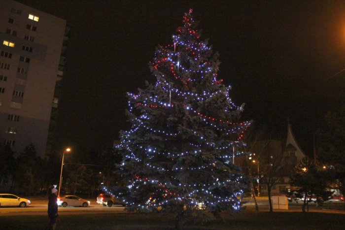 Ilustračný obrázok k článku Rozhodli ste o najkrajšom vianočnom stromčeku v Bratislave. Víťaz vás prekvapí!