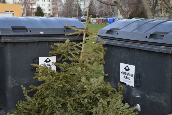 Ilustračný obrázok k článku V Šali budú zbierať vianočné stromčeky: Mesto určilo dva termíny vývozov, FOTO