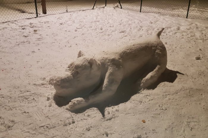 Ilustračný obrázok k článku KURIOZITA hodná obdivu: Na šalianskom sídlisku majú snežného psa, FOTO