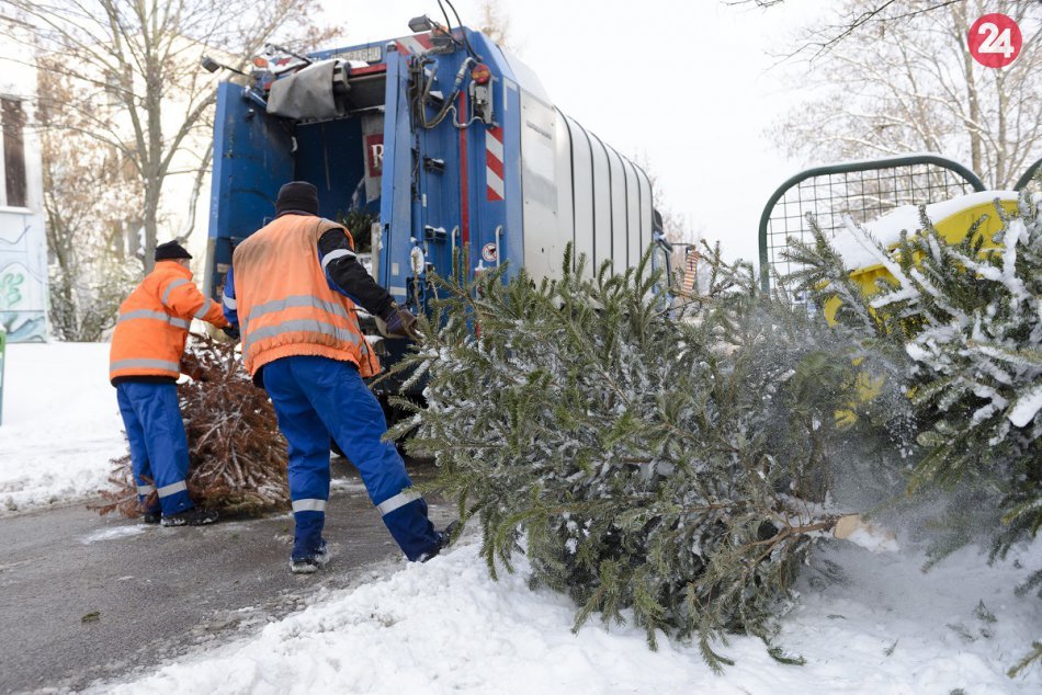 Ilustračný obrázok k článku Vianočný stromček nemusí skončiť na smetisku: Topoľčany ukázali zaujímavú alternatívu
