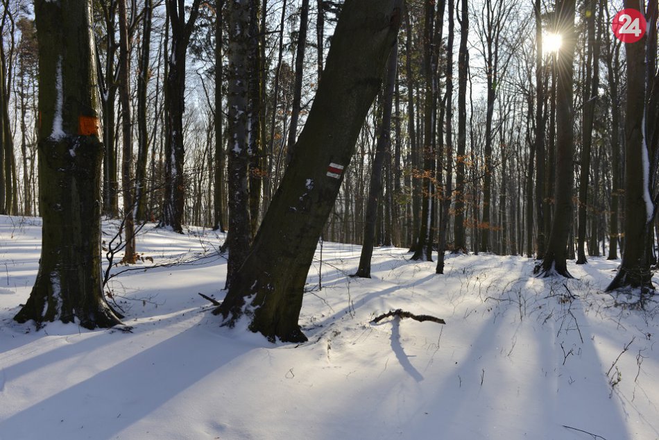 Ilustračný obrázok k článku Vyhľadávané zimné lokality v Spišskej a okolí: Na koľko % dáte tento kvíz?