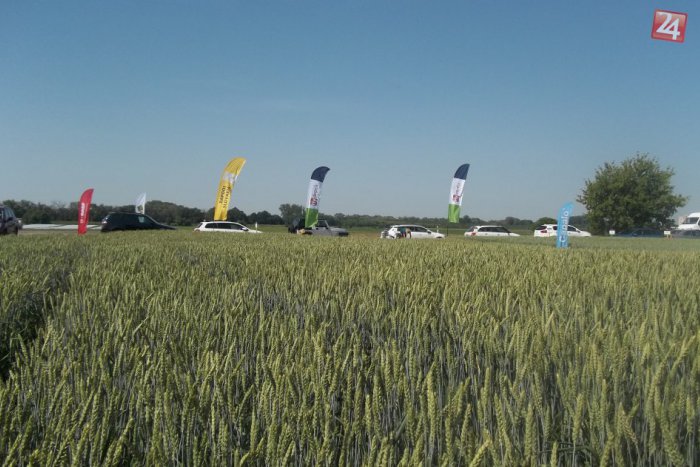 Ilustračný obrázok k článku Nájomcom pôdy vznikla nová povinnosť: Nezabudnite nahlásiť údaje za rok 2018