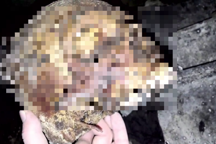 Ilustračný obrázok k článku Len pre silné žalúdky: Košičan na cintoríne manipuloval s nebožtíkom, natáčal si to aj na video
