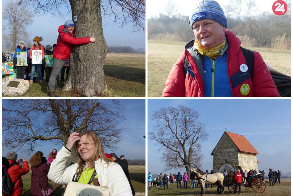Ilustračný obrázok k článku Svetoznámy lovec stromov prišiel na Slovensko: Obdivoval zelený skvost aj históriu