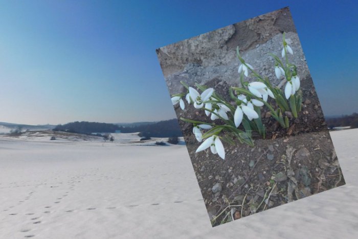 Ilustračný obrázok k článku Dve tváre Gemera vo februári: Niekde sneh a inde už prvé kvietky, FOTO