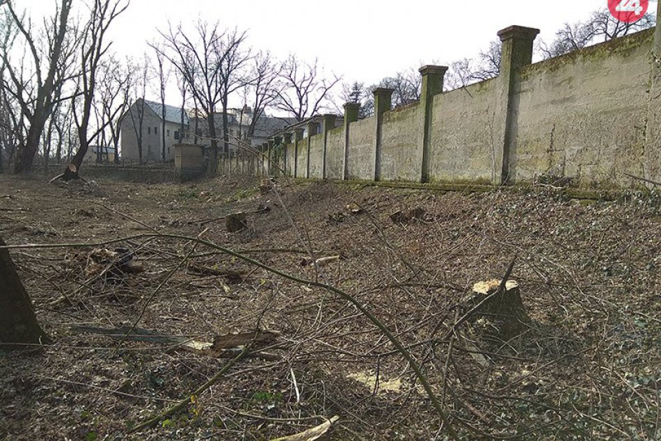 Ilustračný obrázok k článku Z okolia starej nemocnice zmizli desiatky stromov: Na ich mieste má vzniknúť park, FOTO