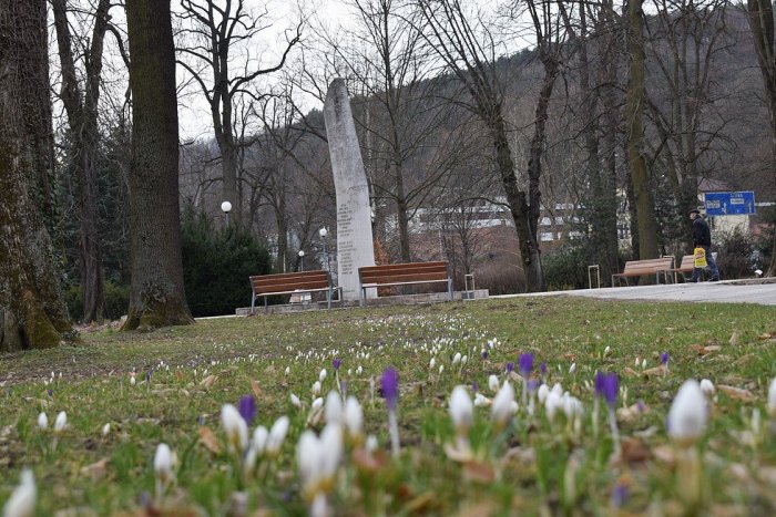 Ilustračný obrázok k článku Trenčín začína kvitnúť: Park Štefánika zaplavili prví poslovia jari, FOTO