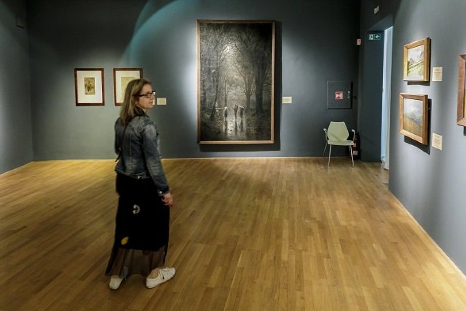 Ilustračný obrázok k článku Považskobystrická galéria dá priestor mladej umelkyni: Slová kurátora výstavy