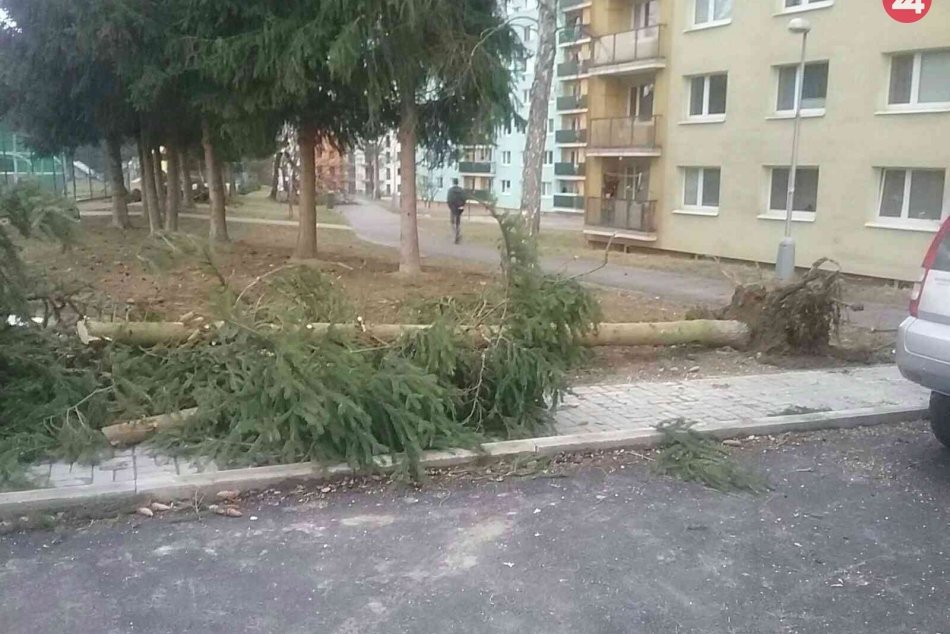 Ilustračný obrázok k článku Na Bratislavu sa rúti silný nárazový vietor. Môže napáchať veľké škody!