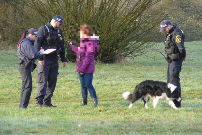 Ilustračný obrázok k článku Zvolenská polícia zvyšuje kontroly povinností držiteľov psov. Na toto si posvieti najviac