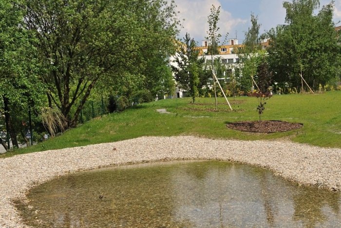 Ilustračný obrázok k článku Dobrá správa z Jaroviec: V centre mestskej časti vyrastie nový park s dažďovou záhradou