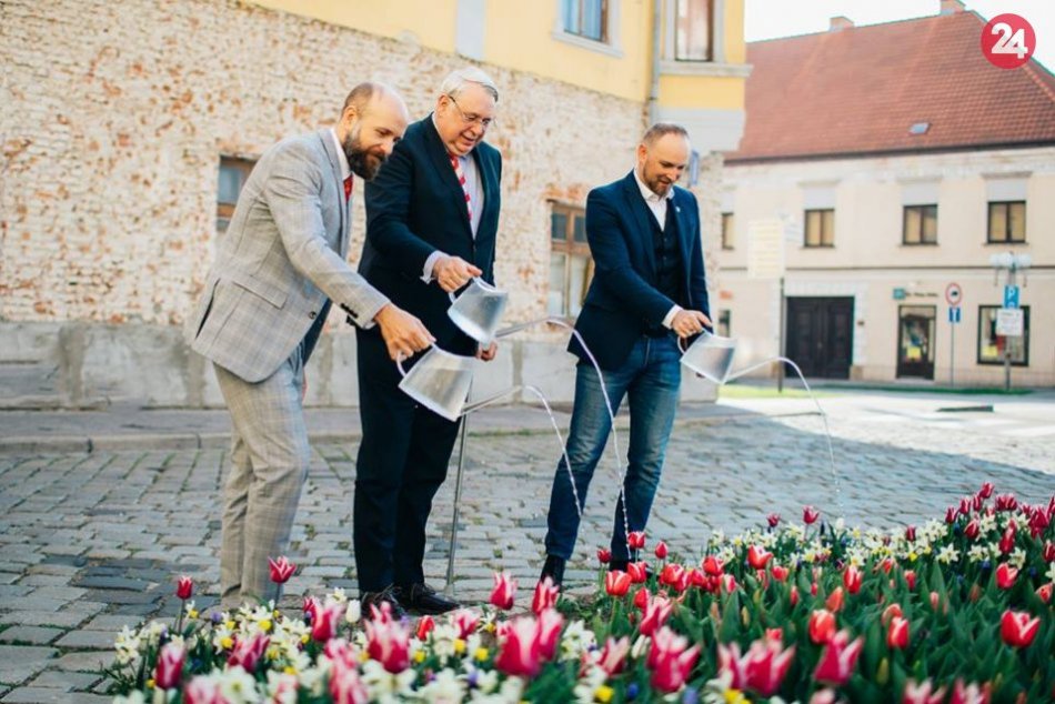 Ilustračný obrázok k článku Holandský veľvyslanec v Trnave: S predsedom kraja a primátorom polievali tulipány