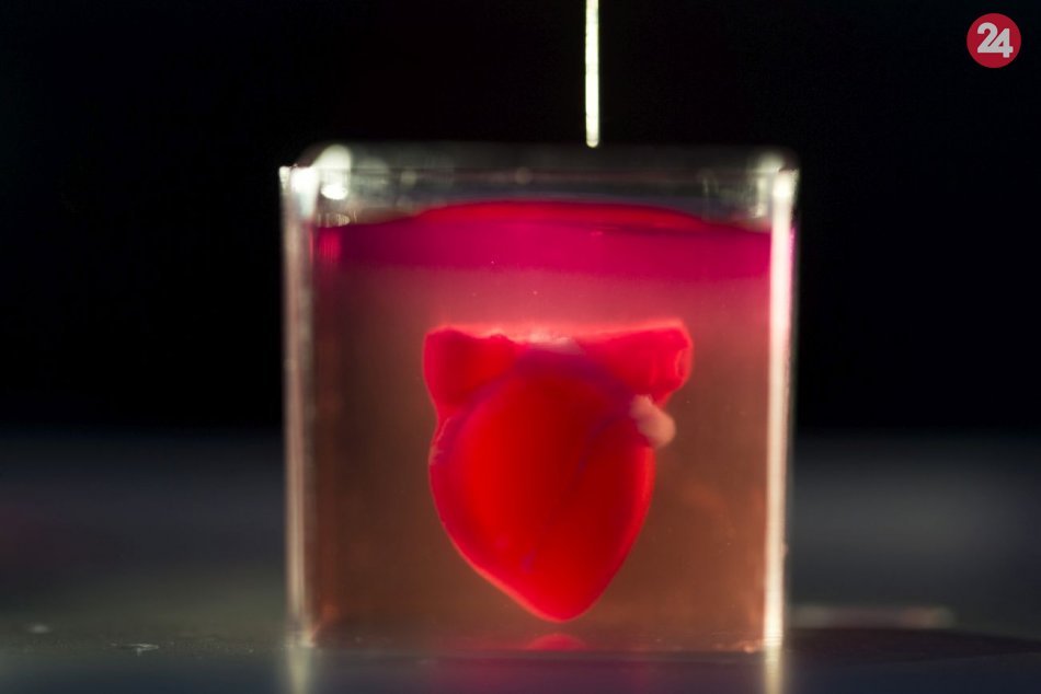 Ilustračný obrázok k článku Budúcnosť ako na dlani: Vedci pomocou 3D tlače vytvorili srdce z tkaniva a ciev