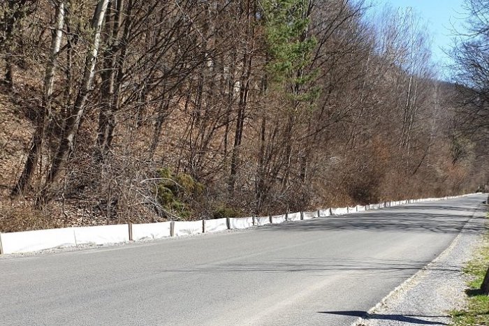 Ilustračný obrázok k článku Pri Ružíne opäť postavili zábrany na ochranu žiab pri jarnej migrácii