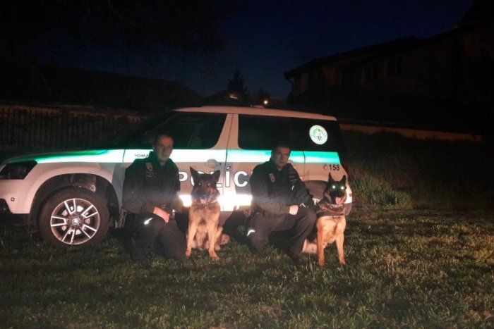 Ilustračný obrázok k článku Zviazanú a unesenú ženu v poslednej chvíli zachránila polícia so služobnými psami