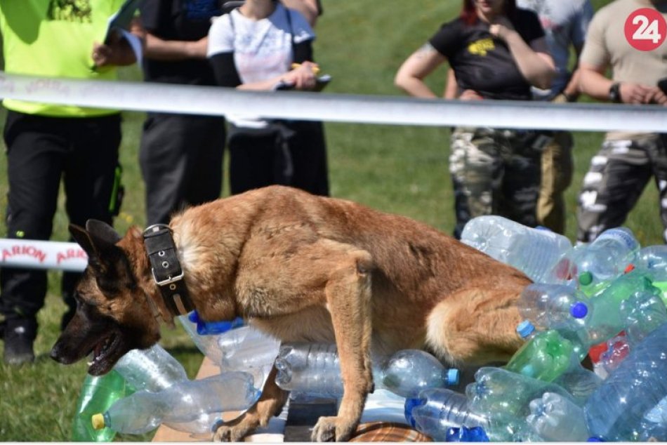 Ilustračný obrázok k článku Výborný výsledok polície zo Zámkov: Bodovala na náročnej súťaži psovodov, FOTO