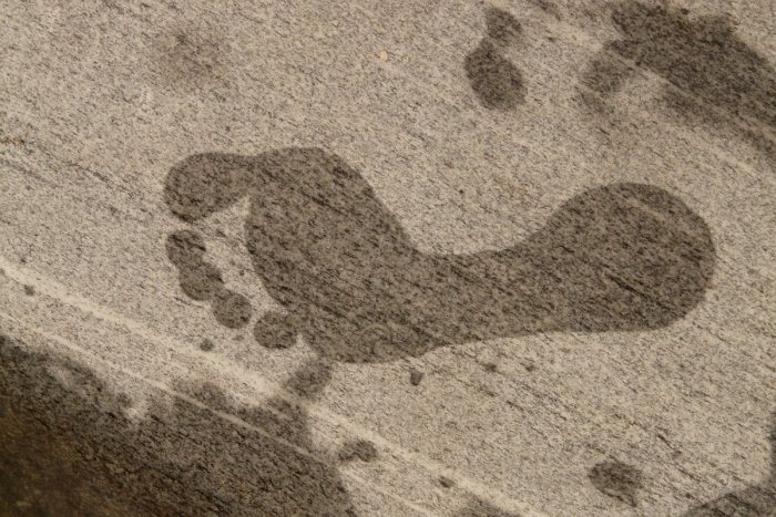 Ilustračný obrázok k článku KURIOZITA DŇA: Objavili najstaršiu ľudskú stopu v Amerike, má vyše 15 000 rokov