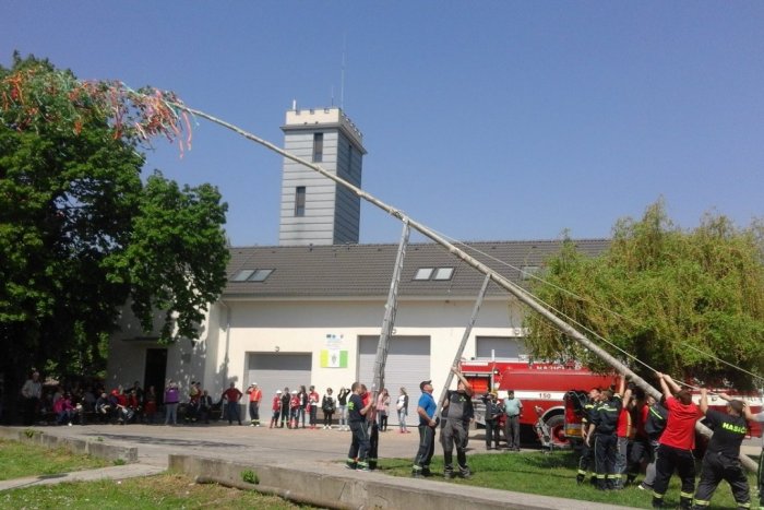 Ilustračný obrázok k článku Vo Vlčanoch stojí 22-metrový máj: Dobrovoľní hasiči pokračujú v tradícii, FOTO