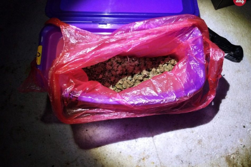 Ilustračný obrázok k článku Akcia s krycím názvom Záškolák: U Hlohovčana našli pol kilogramu marihuany