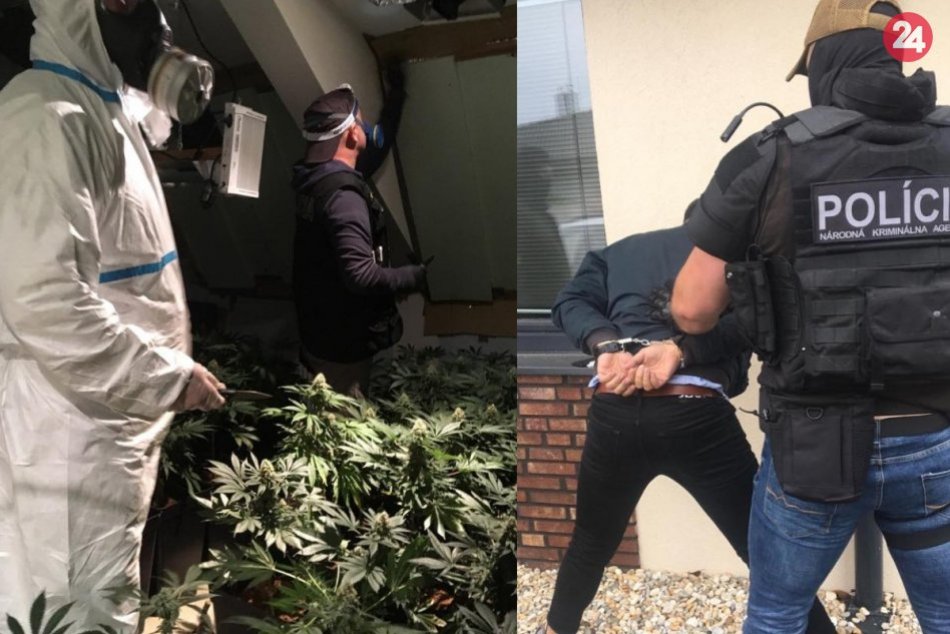 Ilustračný obrázok k článku Protidrogová akcia v Šali: NAKA zadržala 5 osôb, FOTO