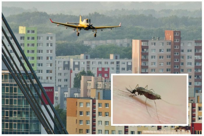Ilustračný obrázok k článku Postreky proti komárom budú, až keď orgán verejného zdravotníctva vyhlási kalamitný stav