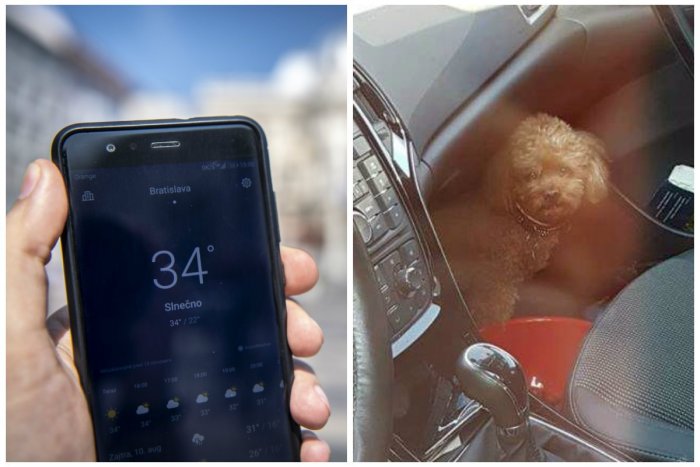 Ilustračný obrázok k článku Objavili ste psa zavretého v rozhorúčenom aute? V krajnom prípade môžete rozbiť okno
