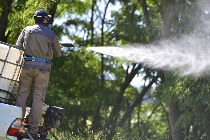 Ilustračný obrázok k článku Petržalka upúšťa od používania pesticídov, herbicídov či umelých hnojív