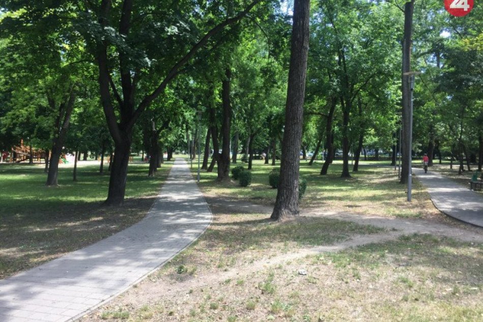 Ilustračný obrázok k článku Bernolákov park v Zámkoch bez chémie: Radnica sa zaviazala nepoužívať v ňom pesticídy