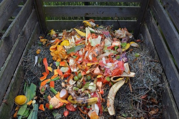 Ilustračný obrázok k článku O mestské kompostéry je veľký záujem. Za akých podmienok vám ich samospráva požičia?