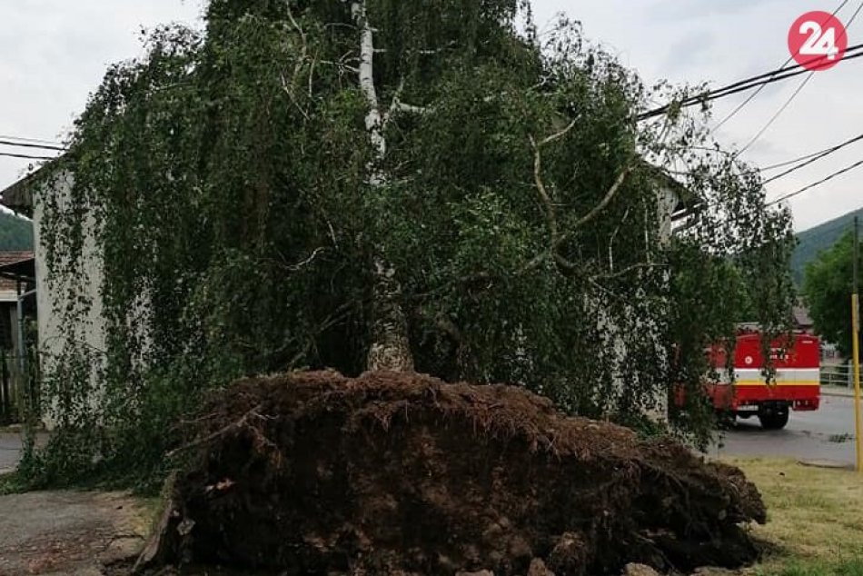 Ilustračný obrázok k článku Búrky a silný vietor dali zabrať: V Brvništi dokonca vyvalilo strom, FOTO