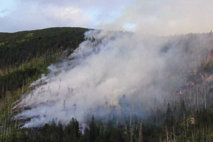Ilustračný obrázok k článku Hasiči bojujú s plameňmi od skorého rána: Lesný požiar hasia už vyše 40 hodín