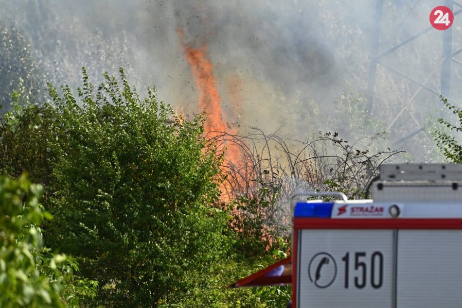 Ilustračný obrázok k článku Na Záhorí vypukol lesný požiar: Cesta je neprejazdná!