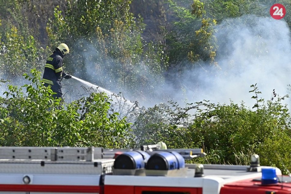 Ilustračný obrázok k článku Opekačku v lese odložte: Hasiči vyhlásili zvýšené RIZIKO vzniku požiarov