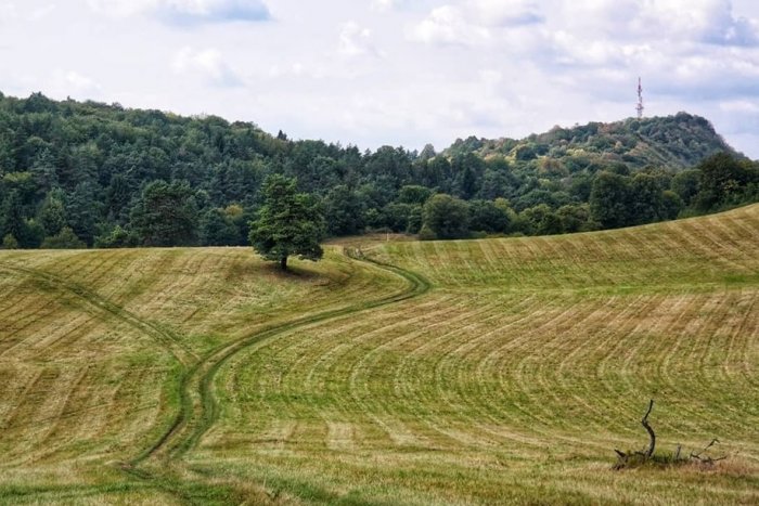 Ilustračný obrázok k článku Východoslovenský tábor ochrancov prírody v našom okrese: Čo je cieľom akcie?