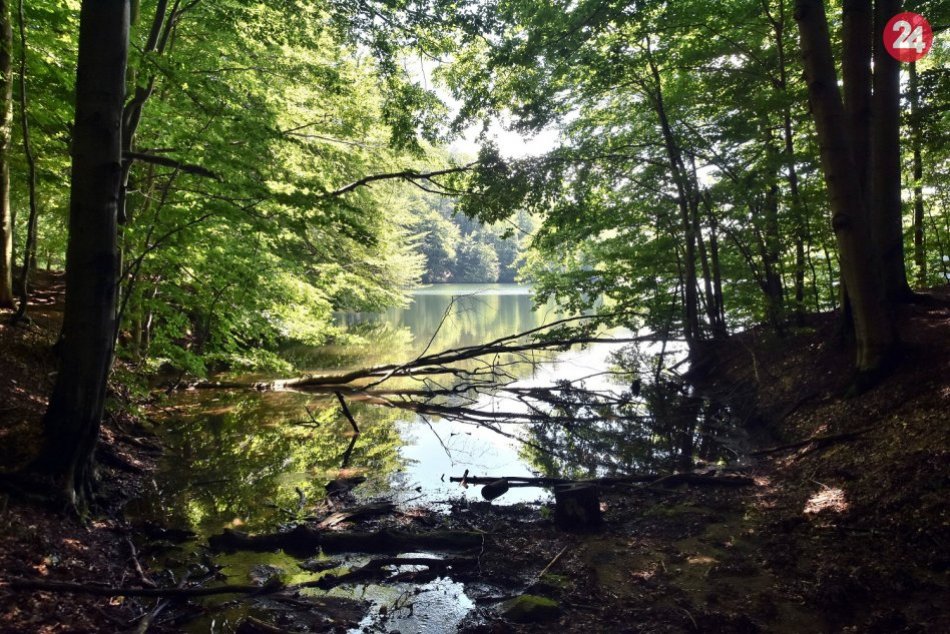 Ilustračný obrázok k článku Vzácne pralesy nájdete aj na Slovensku: Týchto 6 vzbudzuje zaslúžený obdiv, FOTO