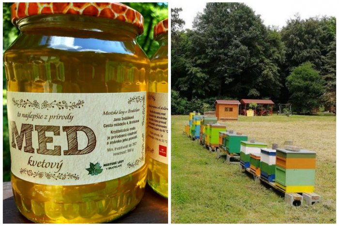 Ilustračný obrázok k článku Ochutnajte kvetový med od mestských včielok z Kačína a Krasňan