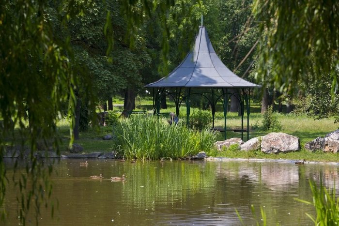 Ilustračný obrázok k článku V Barčianskom parku žijú aj labute, pribudnúť majú kvety i nové oplotenie