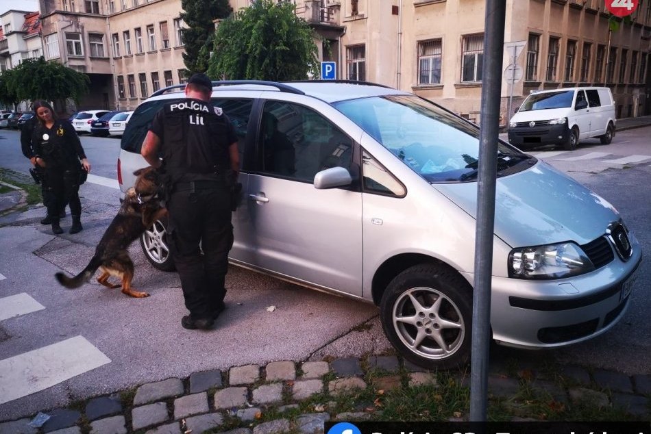 Ilustračný obrázok k článku Muža chytili pred policajnou budovou v Trnave: Drogy potvrdil aj služobný pes