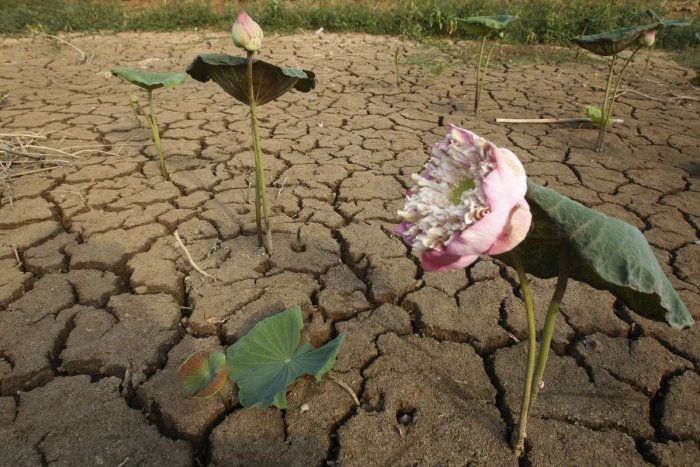 Ilustračný obrázok k článku Celosvetový nárast teplôt: Zvyšuje sa riziko sucha, požiarov a nedostatku potravín